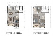 东景庭院228m² 平米中户下叠户型图