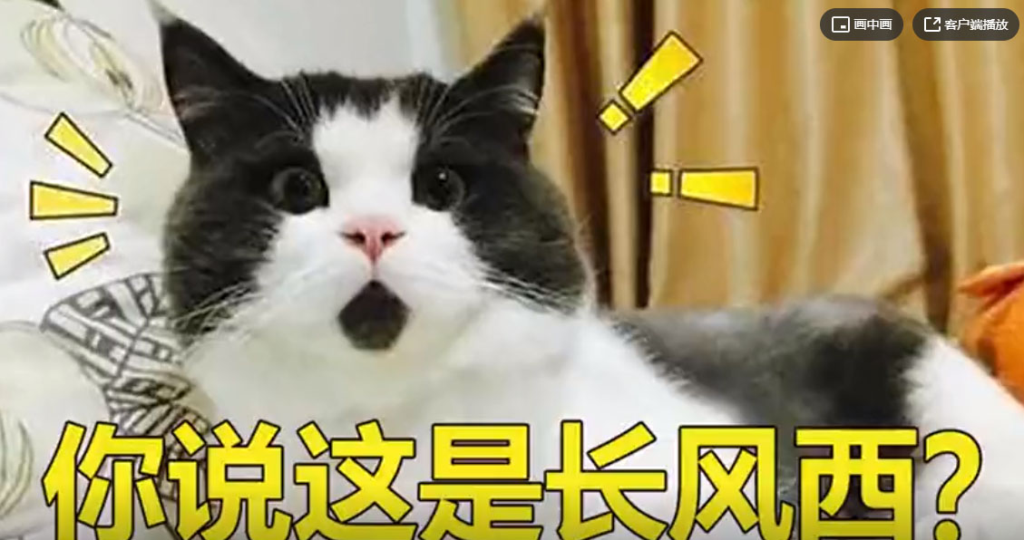 优居出品：住在太原长风西是一种什么感觉？