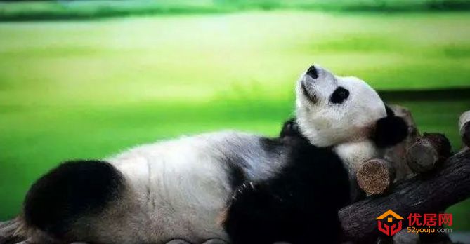 优居原创：不是一直在内卷吗？怎么又开始内耗了？